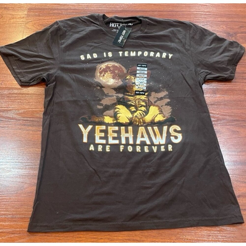 HOT TOPIC SAD IS TEMPORARY BROWN TEE SZ MEDIUM